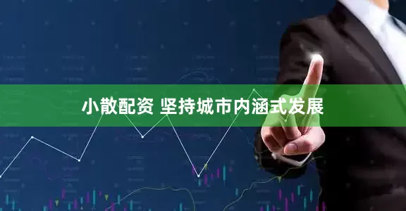 小散配资 坚持城市内涵式发展