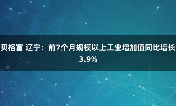 贝格富 辽宁：前7个月规模以上工业增加值同比增长3.9%