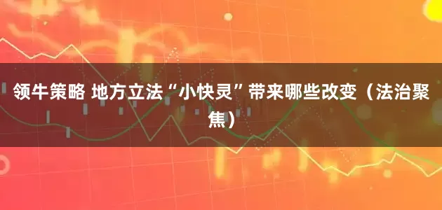 领牛策略 地方立法“小快灵”带来哪些改变（法治聚焦）