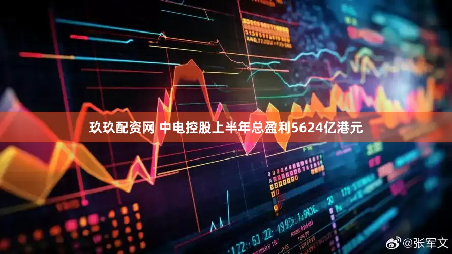 玖玖配资网 中电控股上半年总盈利5624亿港元