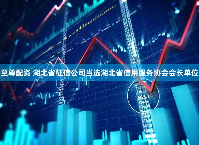 至尊配资 湖北省征信公司当选湖北省信用服务协会会长单位
