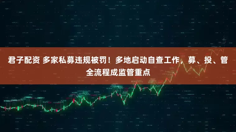 君子配资 多家私募违规被罚！多地启动自查工作，募、投、管全流程成监管重点